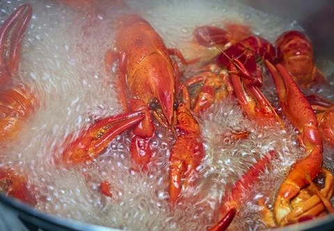 Boiled red crayfish Foto stock