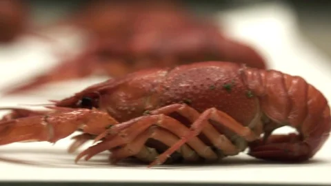 Boiled red crayfish on a plate Video stock 114121536