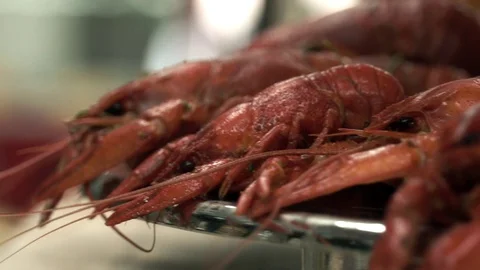 Boiled red crayfish on a plate Stock Footage