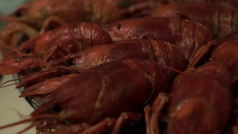 Boiled red crayfish on a plate Video stock 114121950