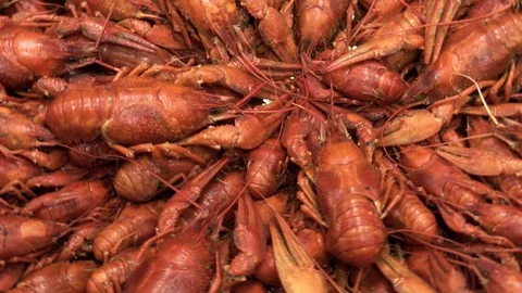 Boiled red crayfish on a plate Video stock 114122119