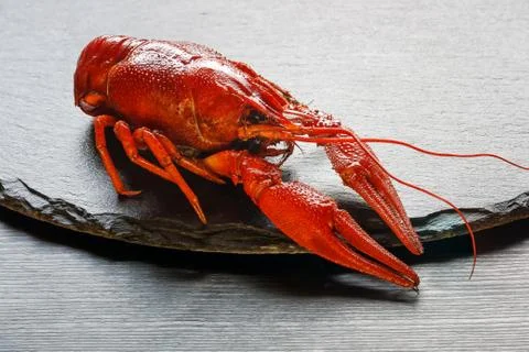 Boiled red crayfish on a platter close up Stock Photos