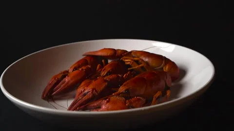 Boiled red crayfish seafood rotating on a white plate Stock Footage 331440481
