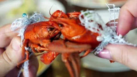 Boiled red crayfishes are fighting. Comic joke fun scene with male and female Stock Footage