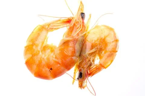 Boiled red shrimp Stock-Fotos