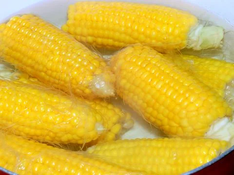 Boiled ripe corn 스톡 사진