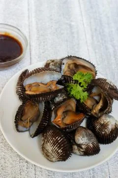 Boiled scallops Stock Photos