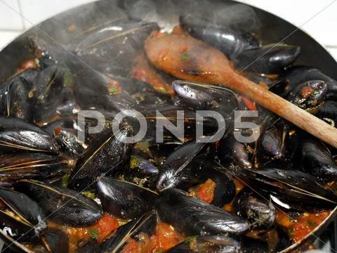 Boiled shellfish Stock Photos
