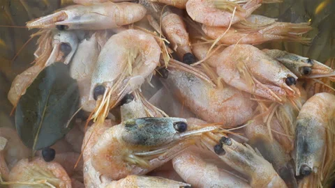 Boiled shrimp as a background Video stock 124119841