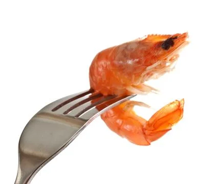 Boiled shrimp on a fork. Stock Photos