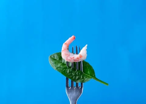 Boiled shrimp on fork with spinach leaf on blue Stock Photos