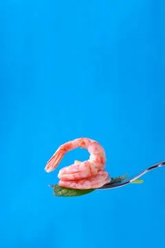 Boiled shrimp on fork with spinach leaf on blue Stock Photos