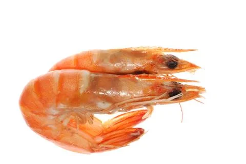 Boiled shrimp isolated Stock Photos
