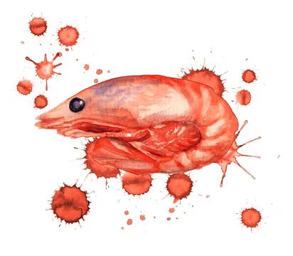 Boiled shrimp with paint blots Stock Illustration