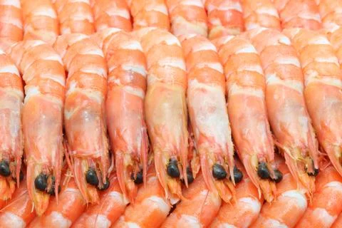 Boiled shrimp Stock Photos