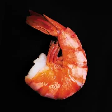Boiled shrimp Foto stock