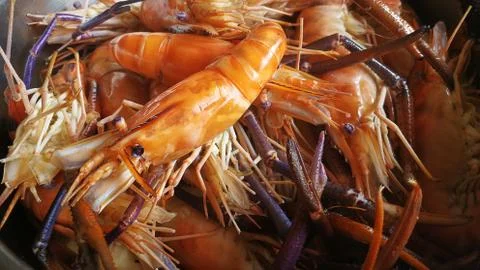 Boiled shrimp  ready for cooking close up image for food content. Stock Illustration