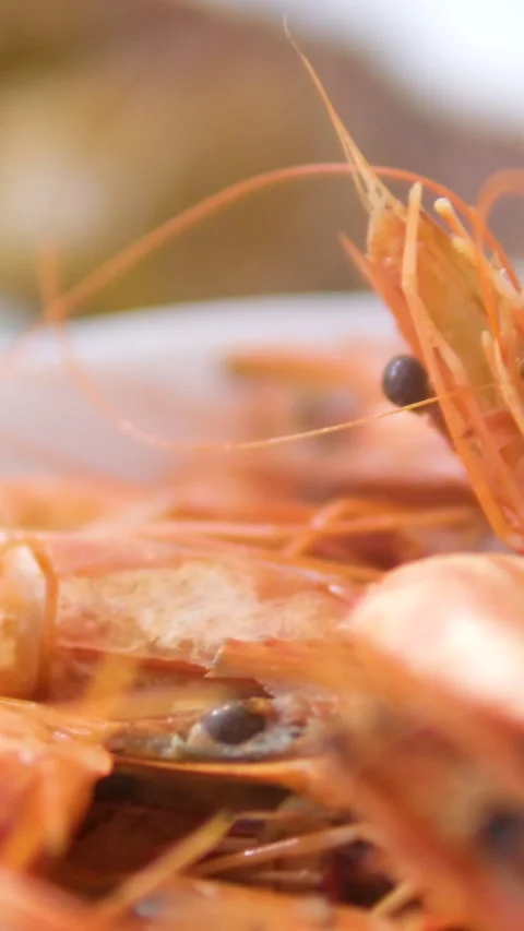 Boiled shrimp with shell intact: beloved for simplicity, natural flavor. Cooked Stock Footage 302735501
