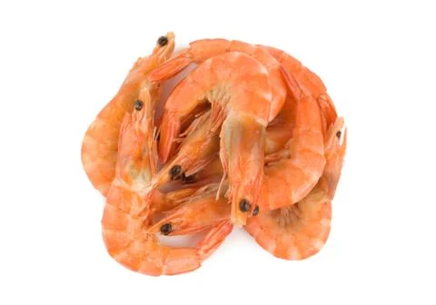 Boiled shrimps Stock Photos