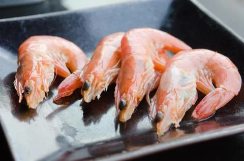 Boiled shrimps Stock-Fotos
