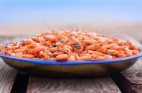 Boiled shrimps Stock Photos