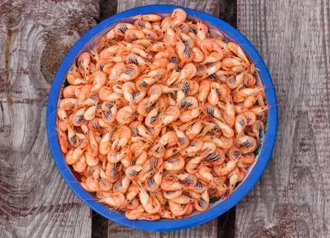 Boiled shrimps Stock Photos