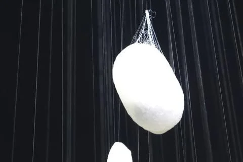 Boiled silkworm cocoons, preparing cocoons for unweaving them into threads Stock Photos