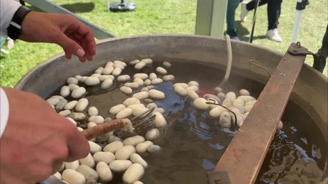  Boiled silkworm traditional folkways Stock Footage 251230428