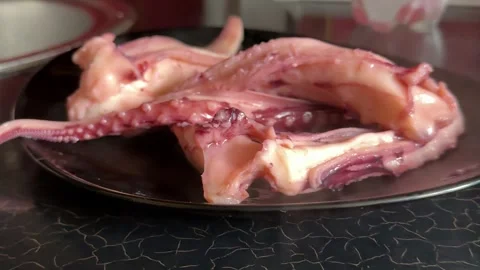 Boiled squid tentacles cooling on a plate after cooking, freshly prepared Stock Footage 345173469