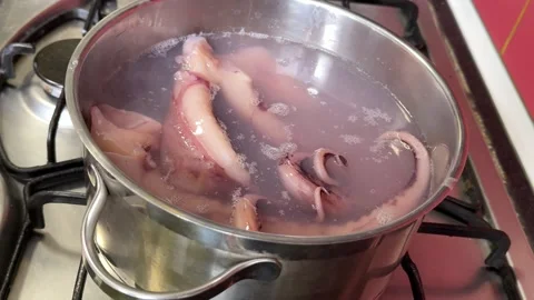 Boiled squid tentacles cooling on a plate after cooking, freshly prepared Stock Footage 345180571