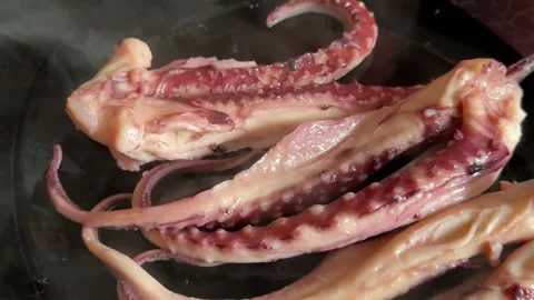 Boiled squid tentacles cooling on a plate after cooking, freshly prepared Stock Footage 345182491