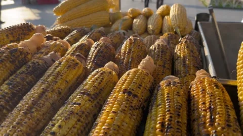 Boiled steaming corn - stock video Stock Footage 240380252