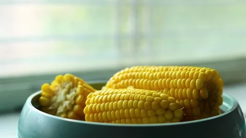 Boiled sweet corn in a bowl Stock Footage 297935993
