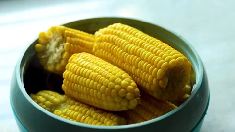 Boiled sweet corn in a bowl Stock Footage 297935995