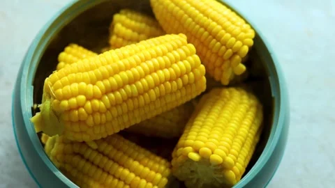Boiled sweet corn in a bowl Stock Footage 297936030