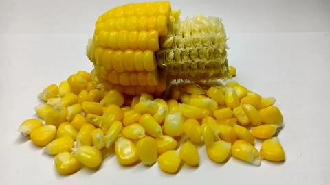 Boiled Sweet Corn Cob Half-Peeled with Scattered Kernels Stock Photos