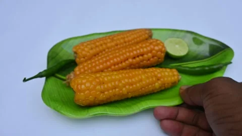 Boiled sweet corn on a plate. Stock Footage 291691561