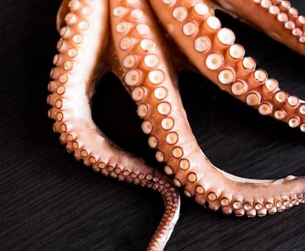 Boiled tentacles of octopus Stock Photos