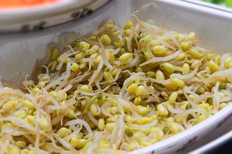 Boiled vegetables Stock Photos