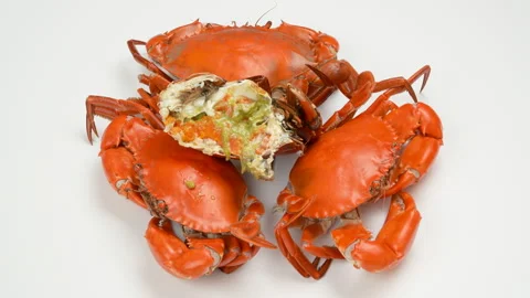 Boiled Vietnamese Female Crabs With Orange Roe Rotating On White Background 4K Stock Footage 321761822