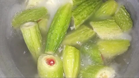 Boiling Bitter Melon in Wok on Traditional Kerosene Stove in Rural Village Stock Footage 338222315