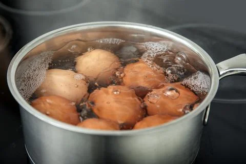 Boiling chicken eggs in saucepan on electric stove, closeup Stock Photos
