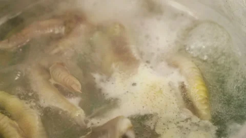 Boiling chicken paws - full-frame closeup background Vídeo Stock 257170693
