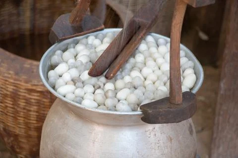 Boiling cocoon silkworm Stock Photos