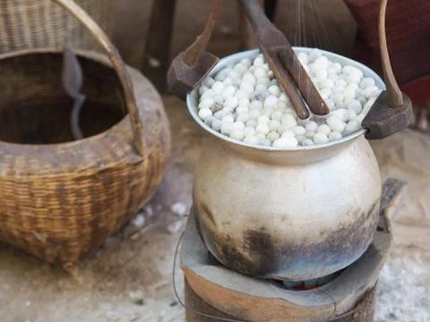 Boiling cocoon silkworm Stock Photos