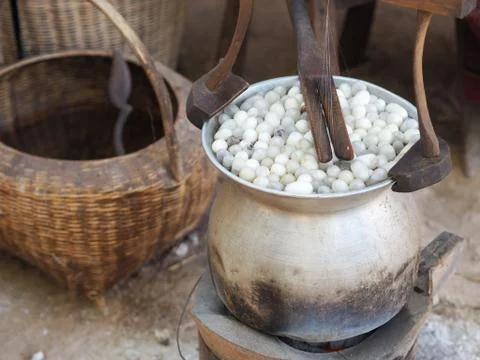 Boiling cocoon silkworm Stock Photos