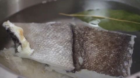 boiling cod fish in water | Stock Video | Pond5