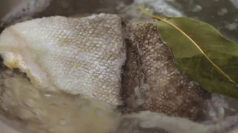 Boiling cod fish in water Stock-Footage 76749081