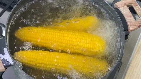 Boiling Corn Close Up Stock Footage 319021249