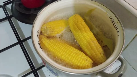 Boiling corn cobs Stock Footage 134345002